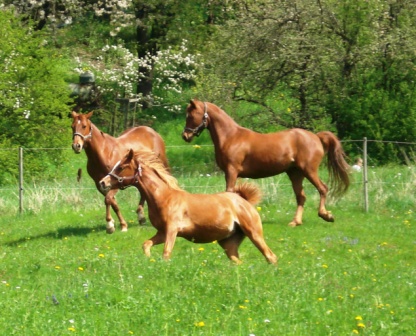 Fr&uuml;hjahr 2008